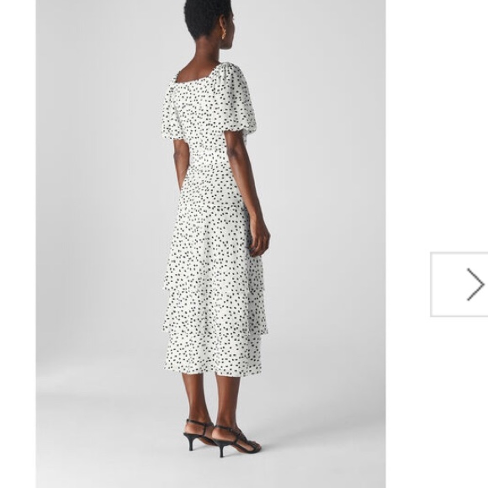 Whistles Viola Dress - Picture 5 of 7